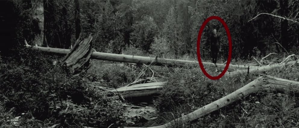Image result for slender man