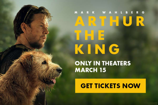 Online movie booking sites on sale