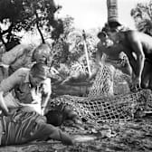 Creature from the Black Lagoon (1954)